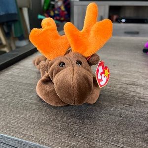 TY Beanie Baby Chocolate the Moose Red Star Swing Tag
